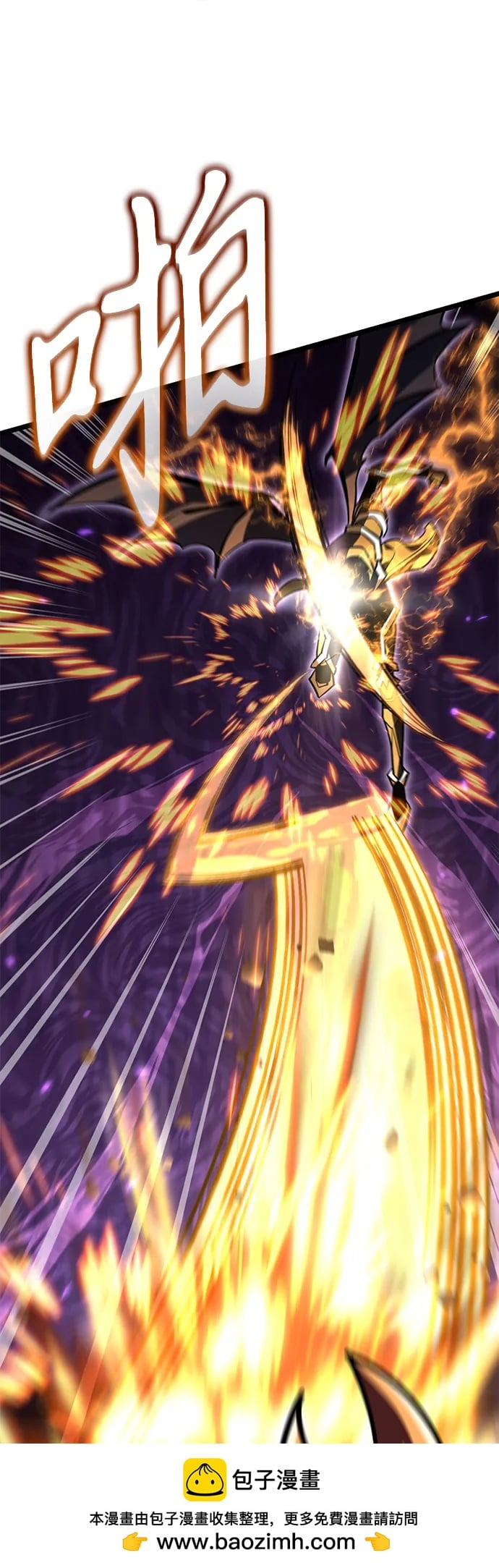 第 100 页