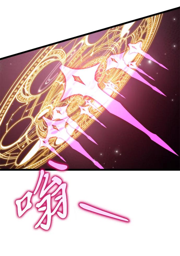 第 113 页