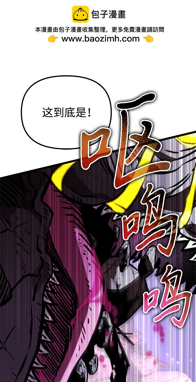 第 97 页