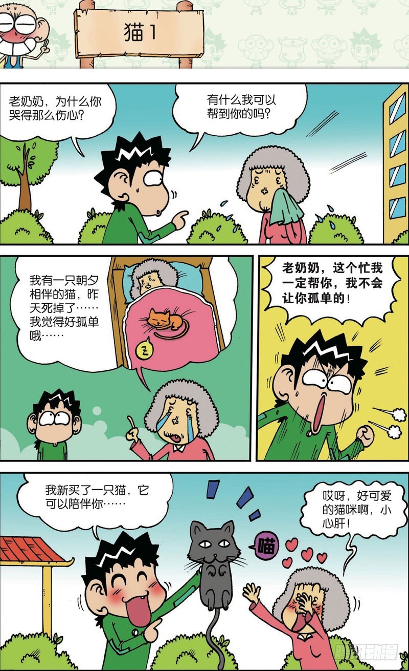 第 17 页