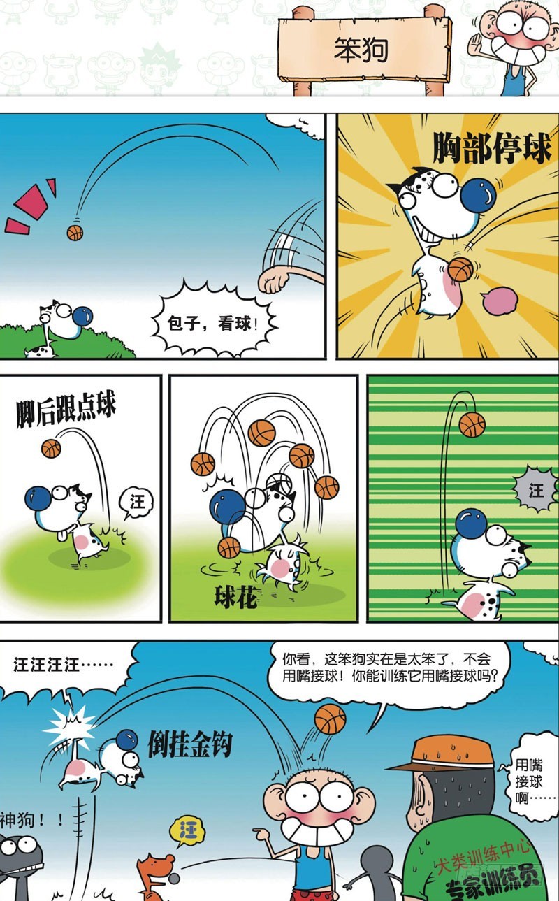 第 16 页