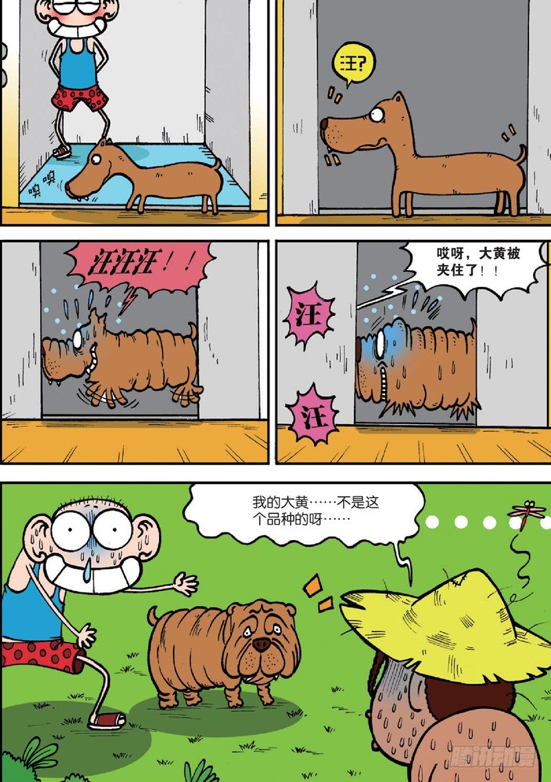 第 11 页
