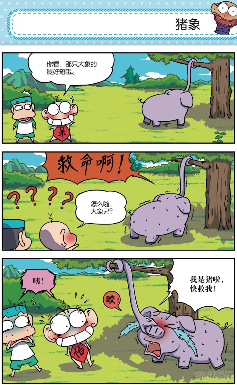 第 17 页