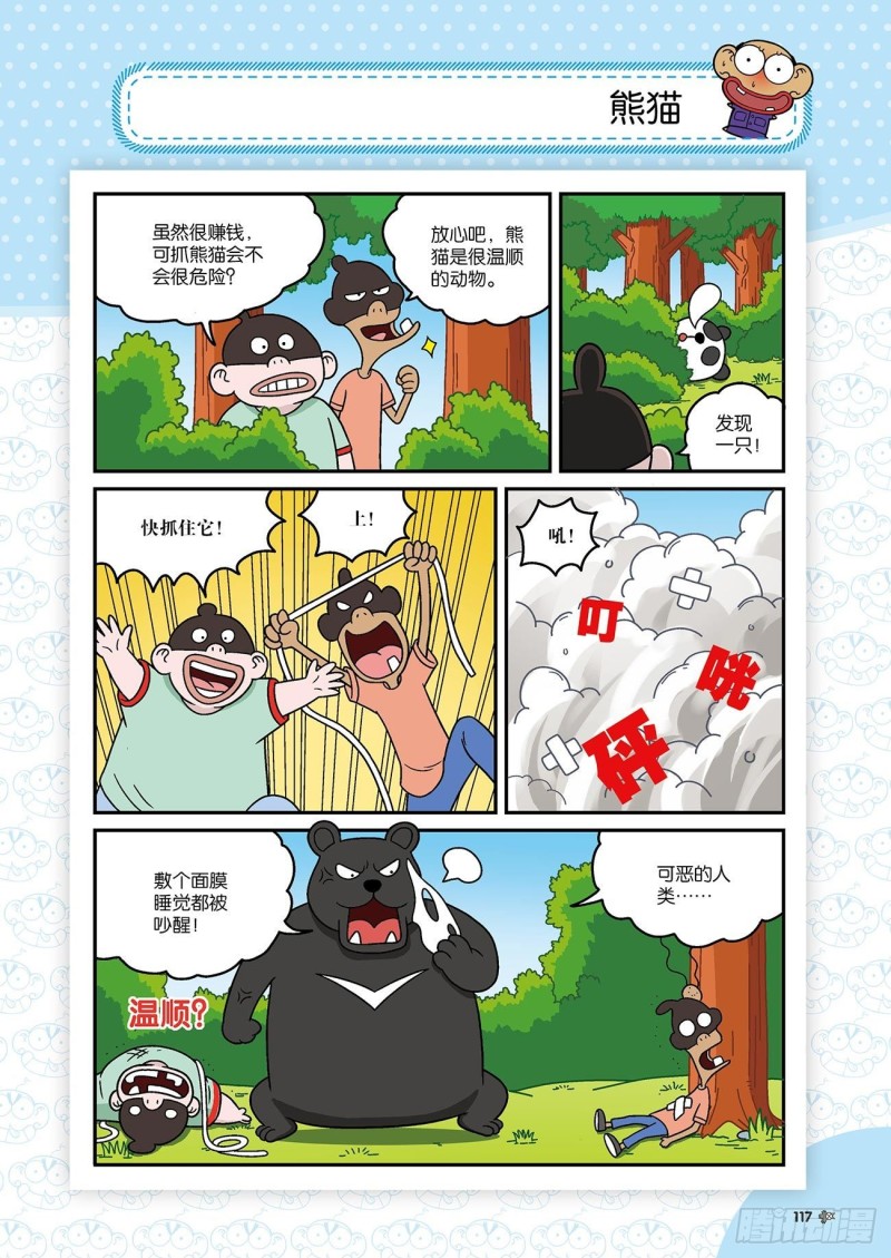 第 17 页