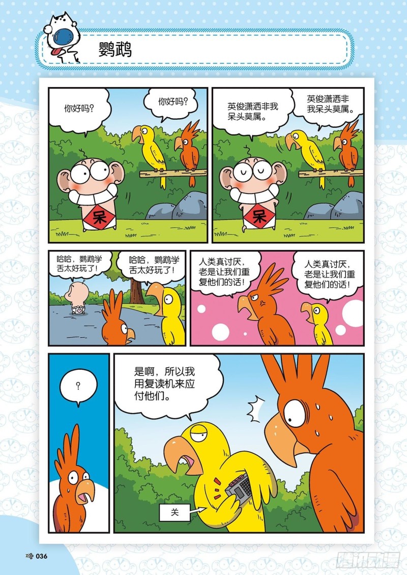 第 19 页