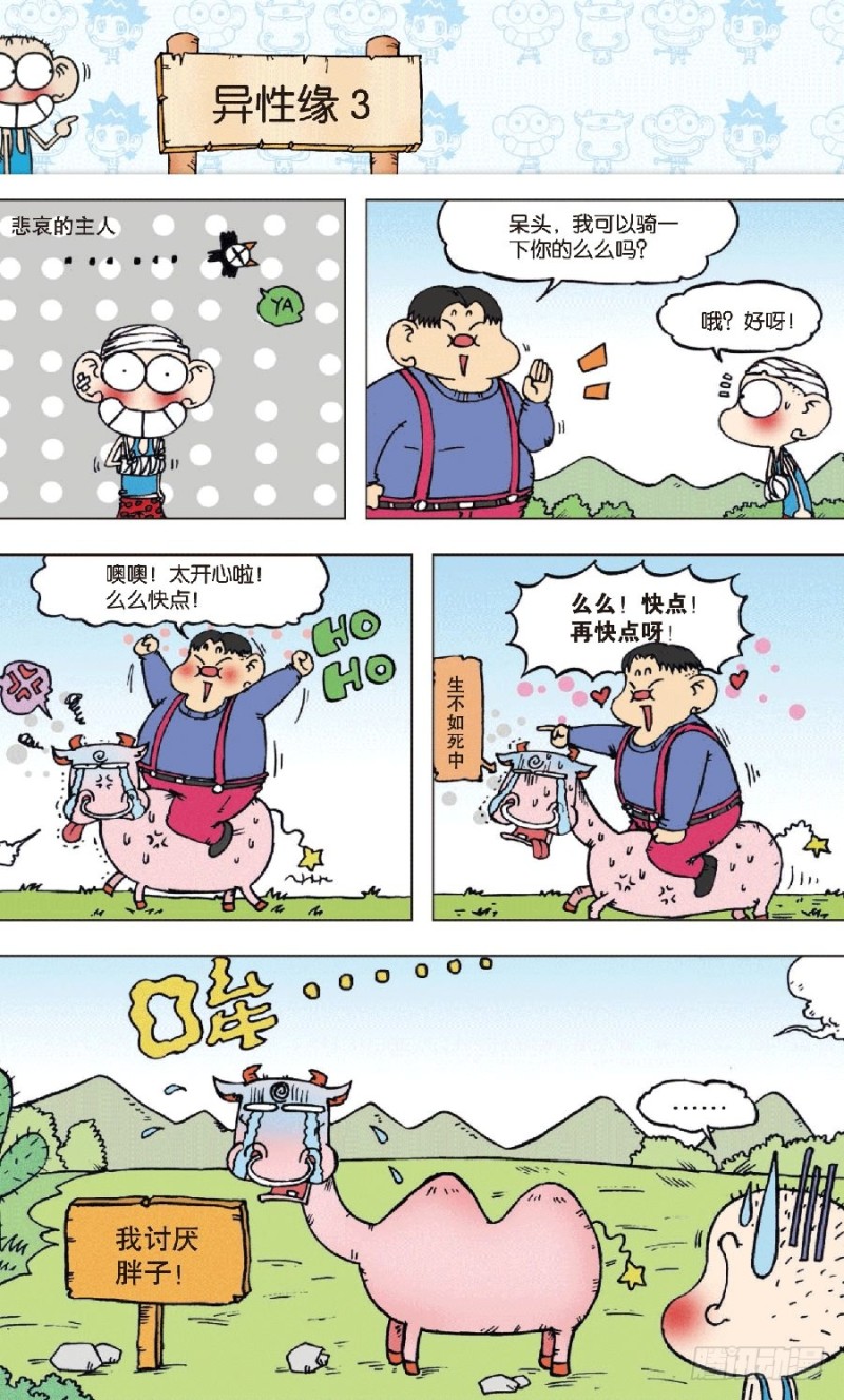 第 12 页