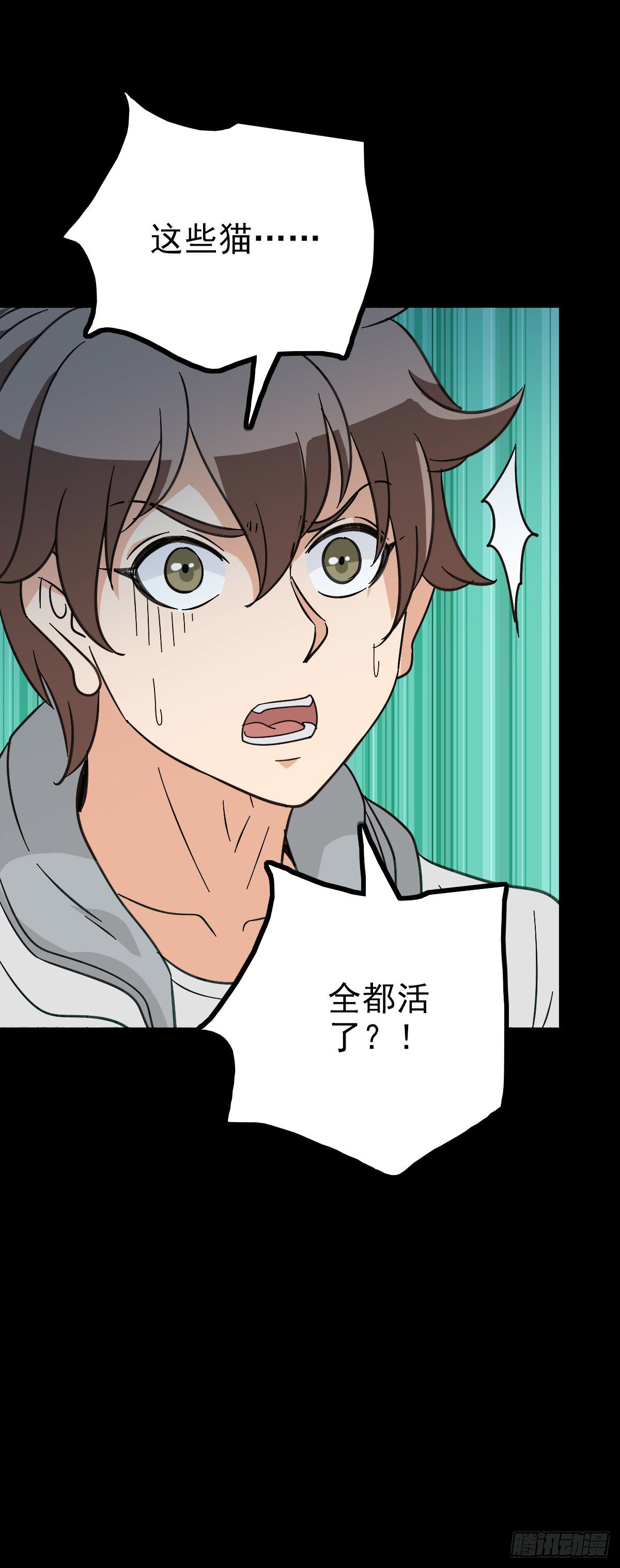 第 37 页
