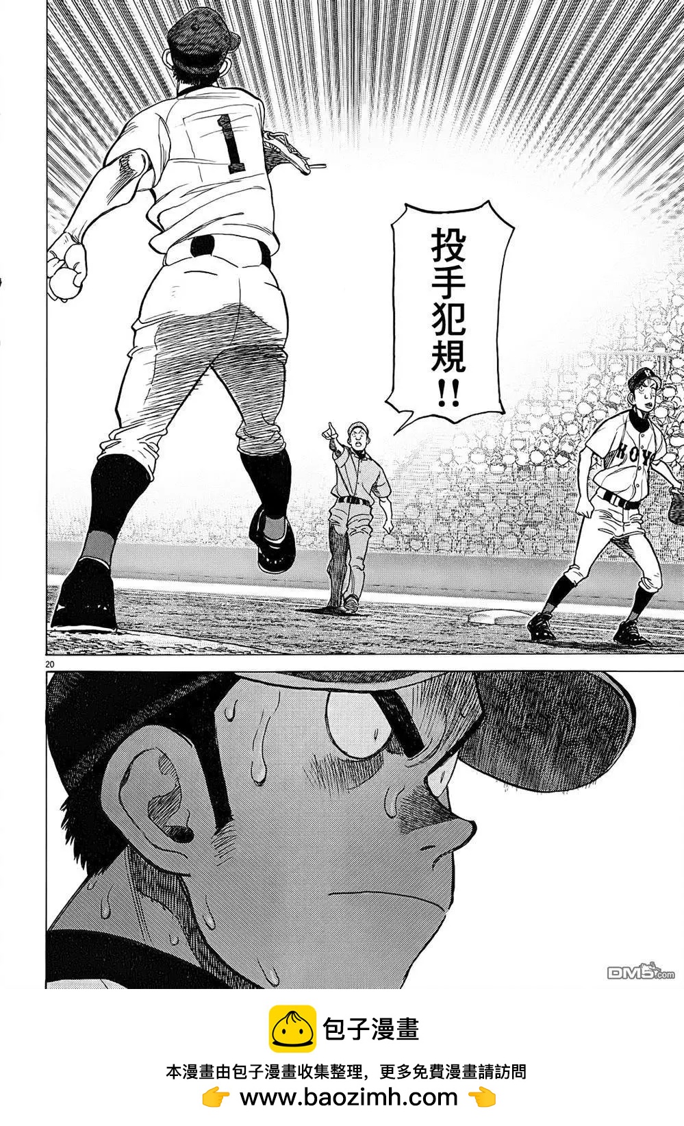 第 20 页