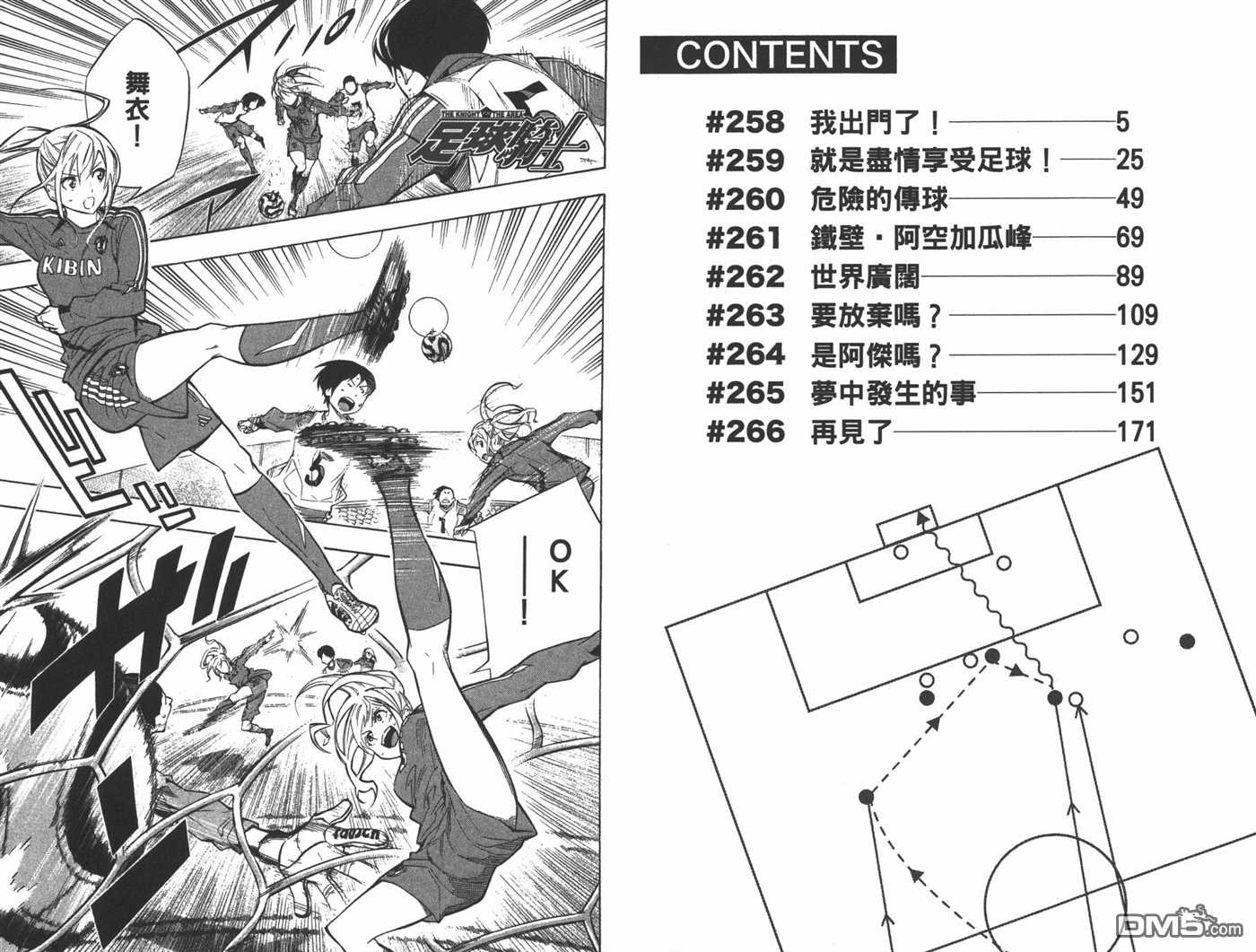 第 4 页