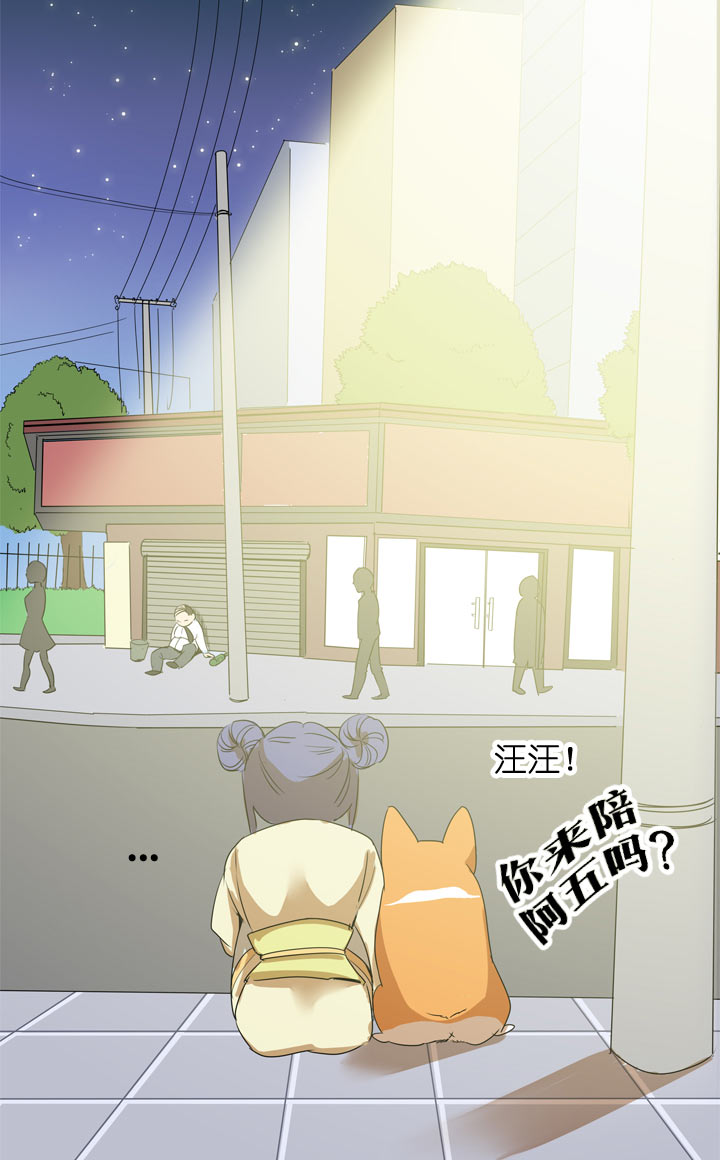 第 33 页
