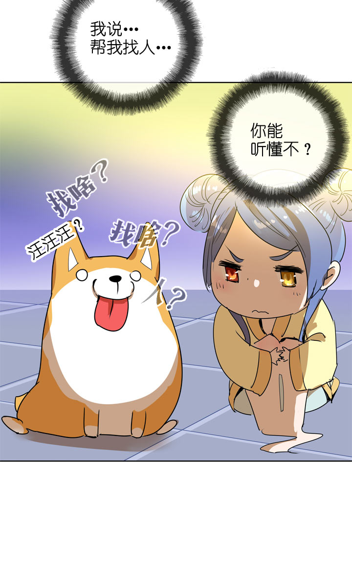 第 35 页
