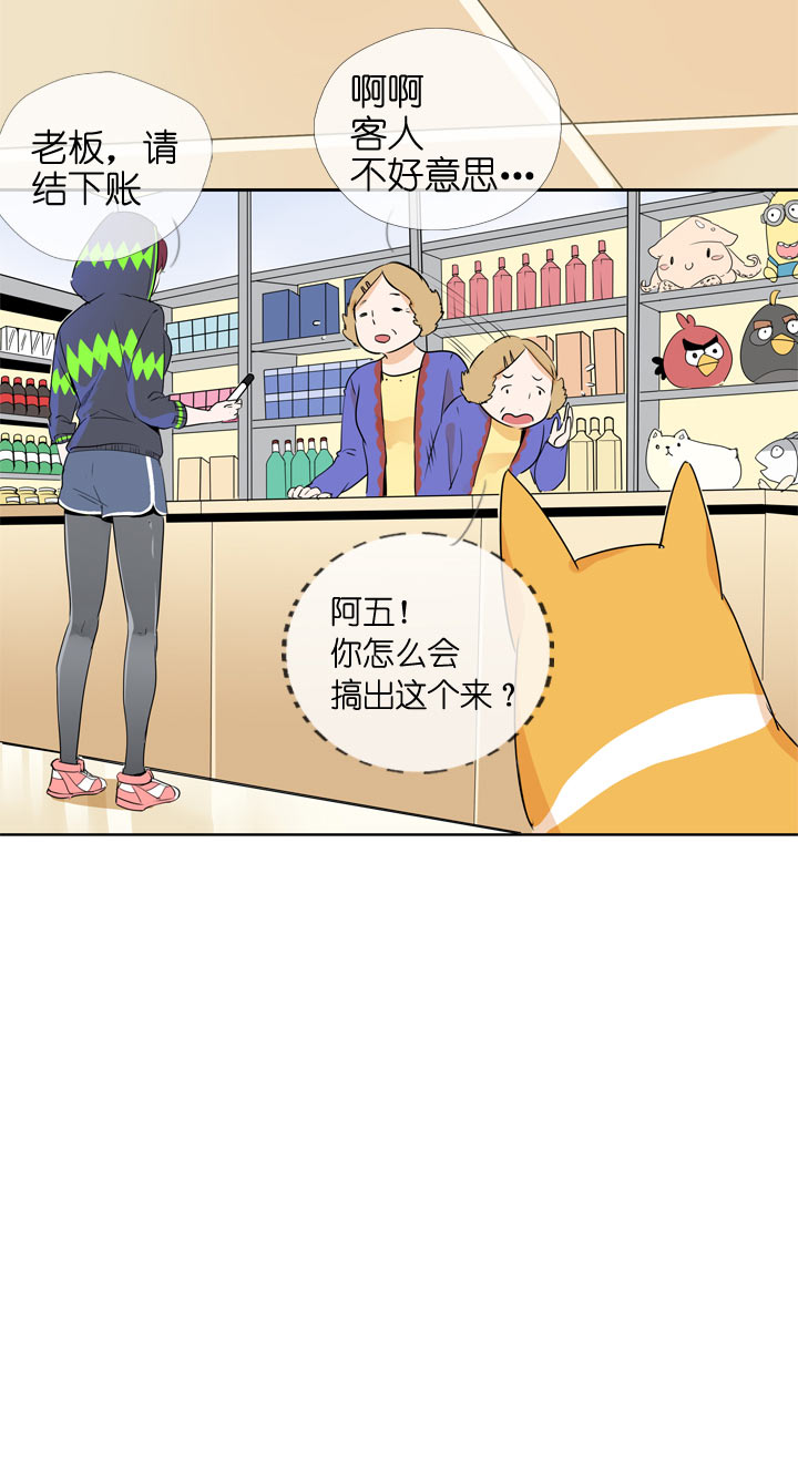 第 29 页