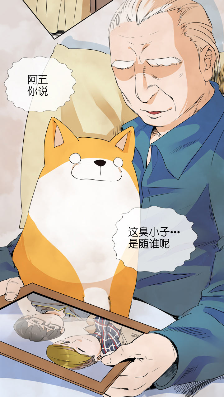 第 21 页