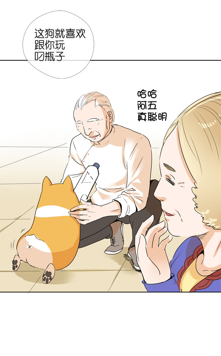 第 32 页