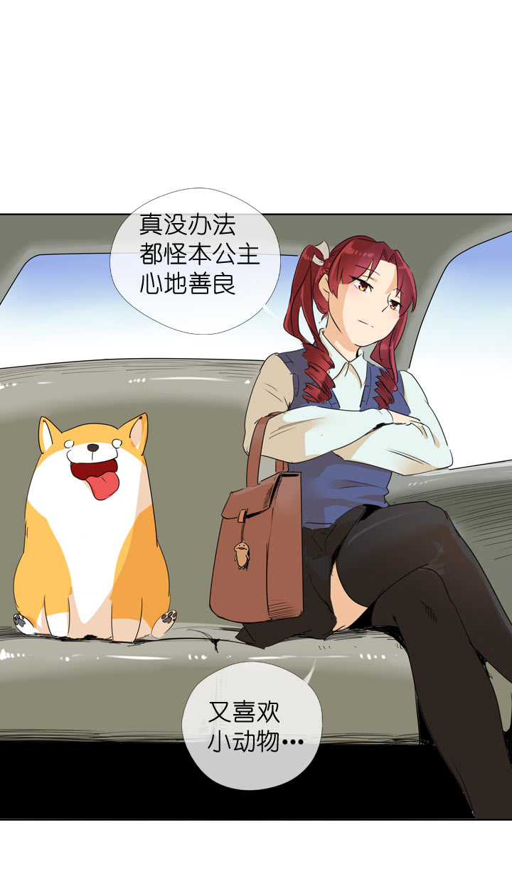 第 29 页