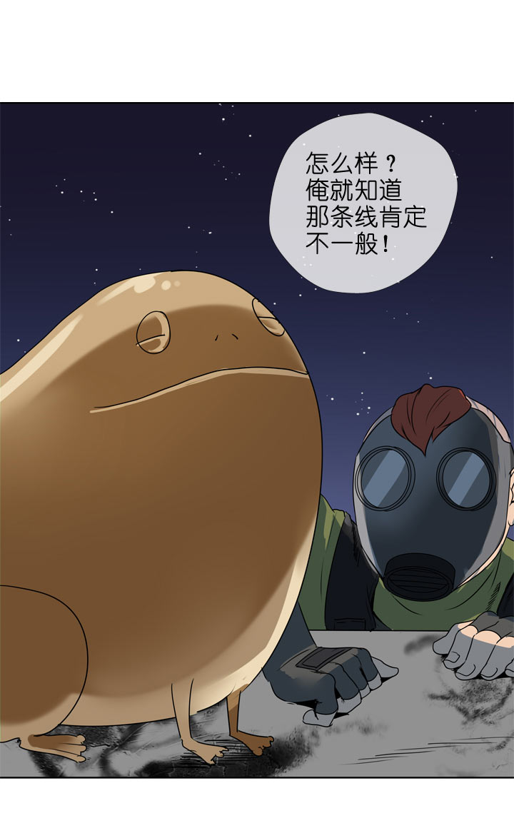 第 31 页