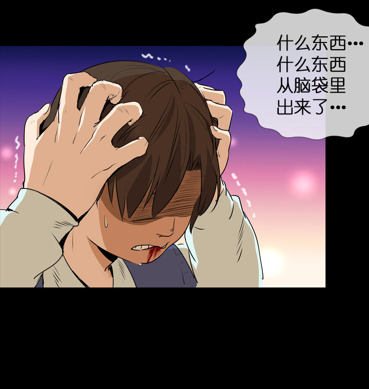 第 38 页