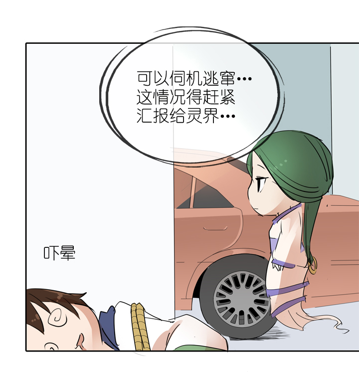 第 27 页