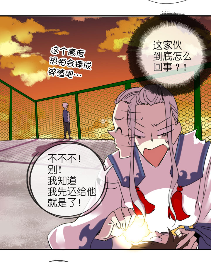 第 29 页