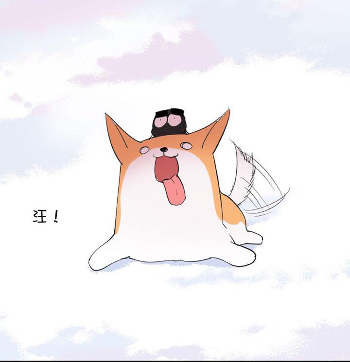 第 42 页