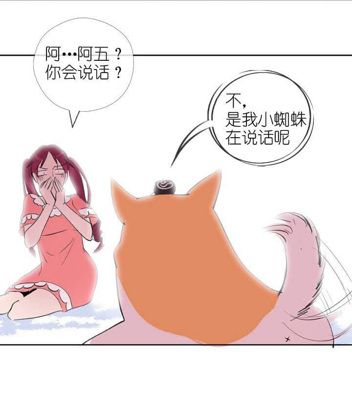 第 43 页
