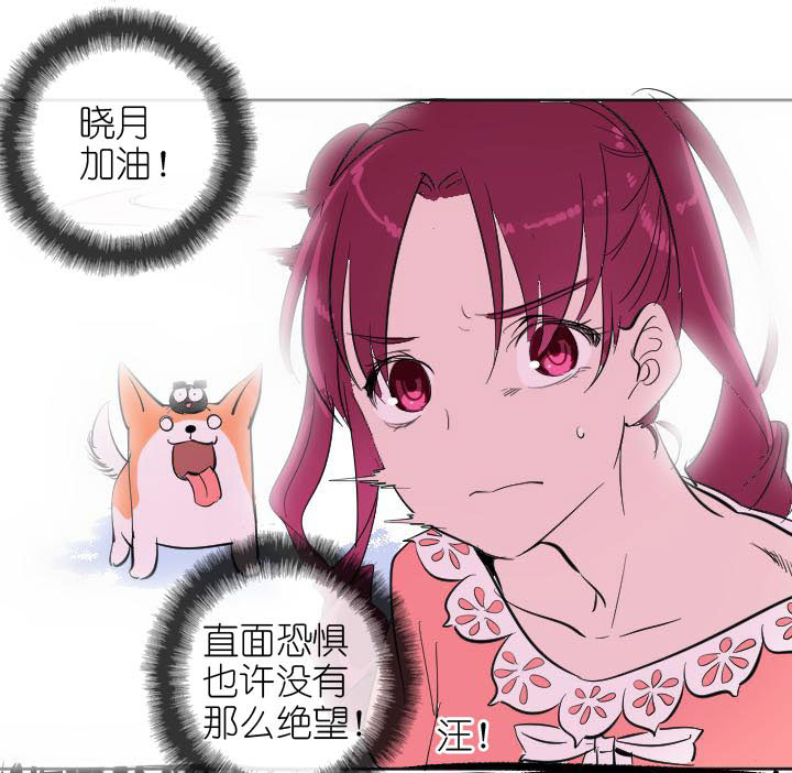 第 47 页