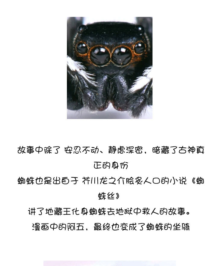 第 60 页