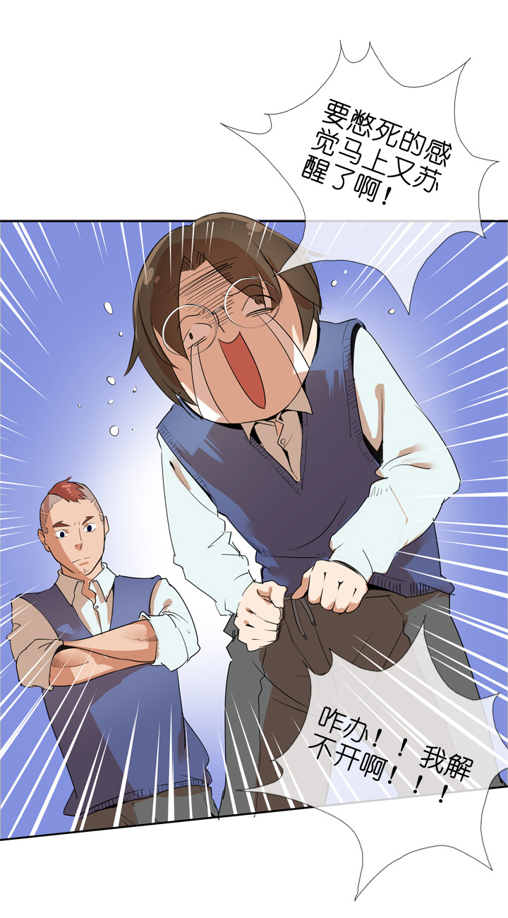 第 31 页