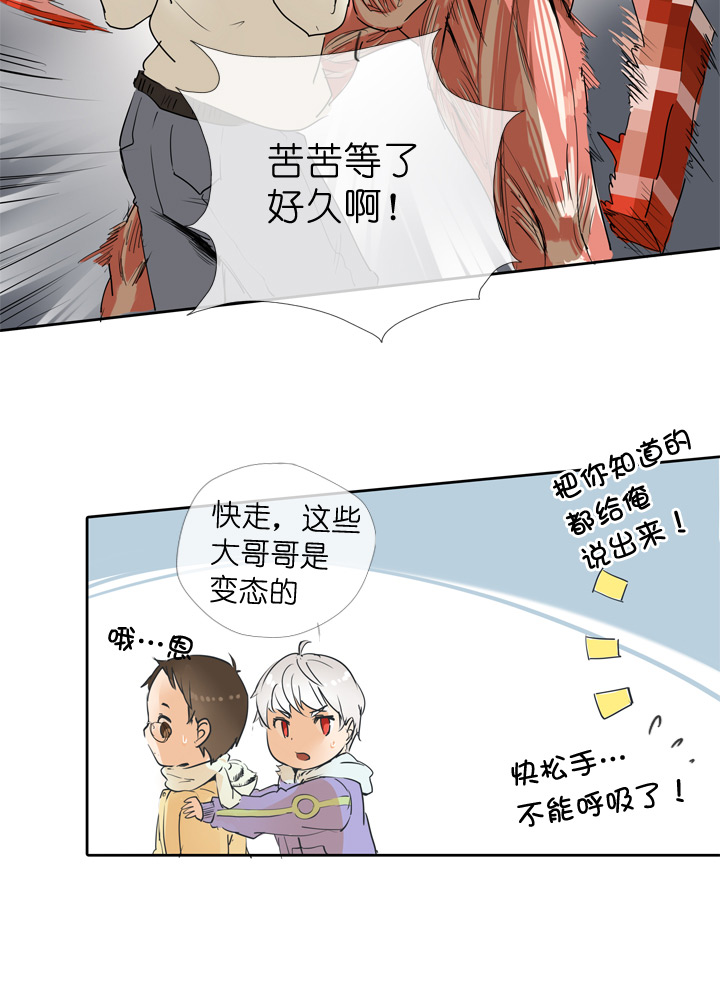 第 31 页