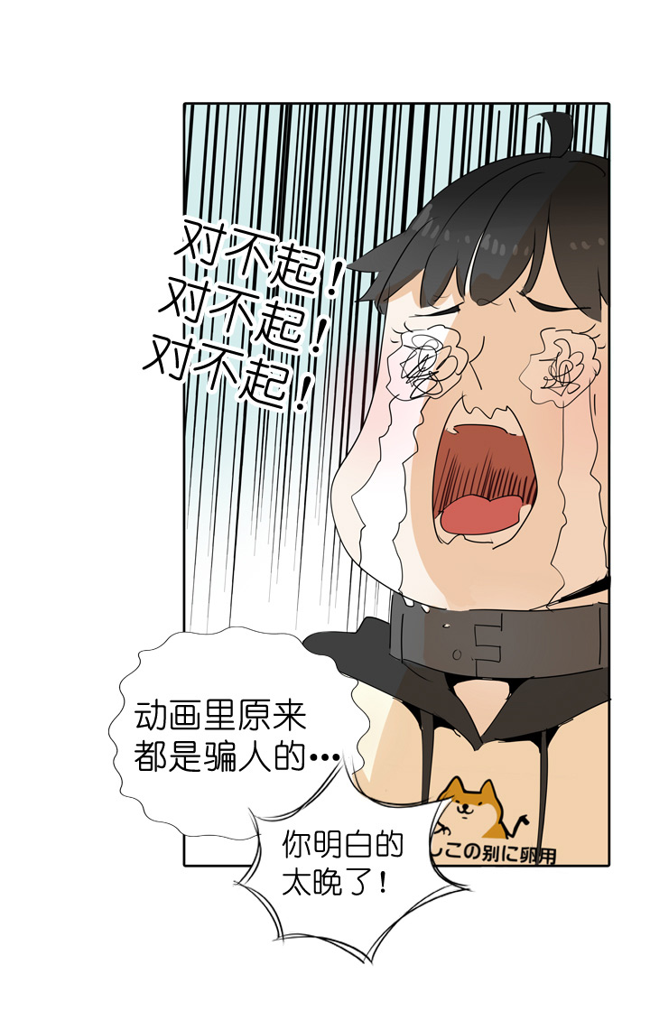 第 33 页