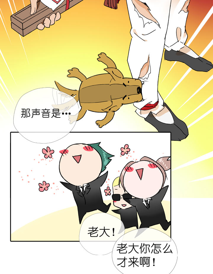 第 21 页