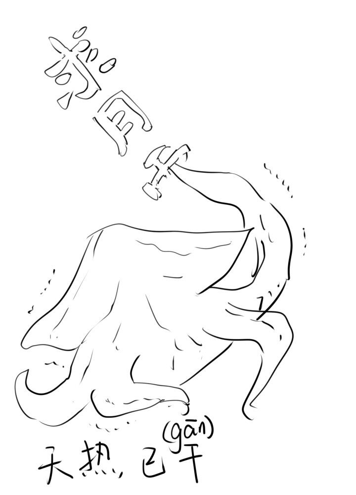 第 41 页